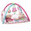 Bright Starts Bright Starts Printing Inn Charming Chirps Activity Gym by Kids II (52170)