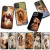 Phone Cover Animal Pet Golden Retriever Dog for Xiaomi Poco F7 F6 F8 Ultra F5 X7 X6 X5 X3 NFC M7 M6 Pro C85 C75 C65 C71 C61 Case