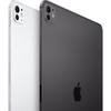 APPLE - iPad Pro M5 - 13 - Wi-Fi + Cellular - 1 To - Verre standard - Space Black