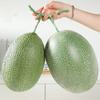 Модель продукта Искусственная дыня Канталупа Пластиковая имитация фрукта Поддельная дыня Канталупа Декор для дома