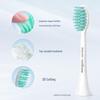 Philips Clean Power Sonic Electric Toothbrush CN plug (adapter included)