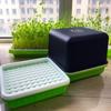 Soilless Water Cultivation Sprout Planting Box Garden Supplies Seedling Tray Sprout Planting Pot