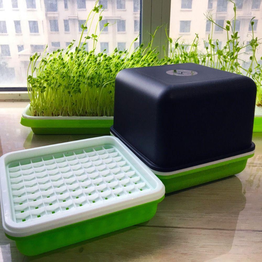 Peanut Hydroponic Garlic Garden Supplies Seedling Tray Sprout Planting Box Sprout Planting Pot