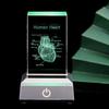 3D Лазерная гравировка Хрустальная модель человеческих органов Анатомическое Сердце/Зубы Фигурки Стеклянная пресс-папье со светодиодной подставкой Доктор