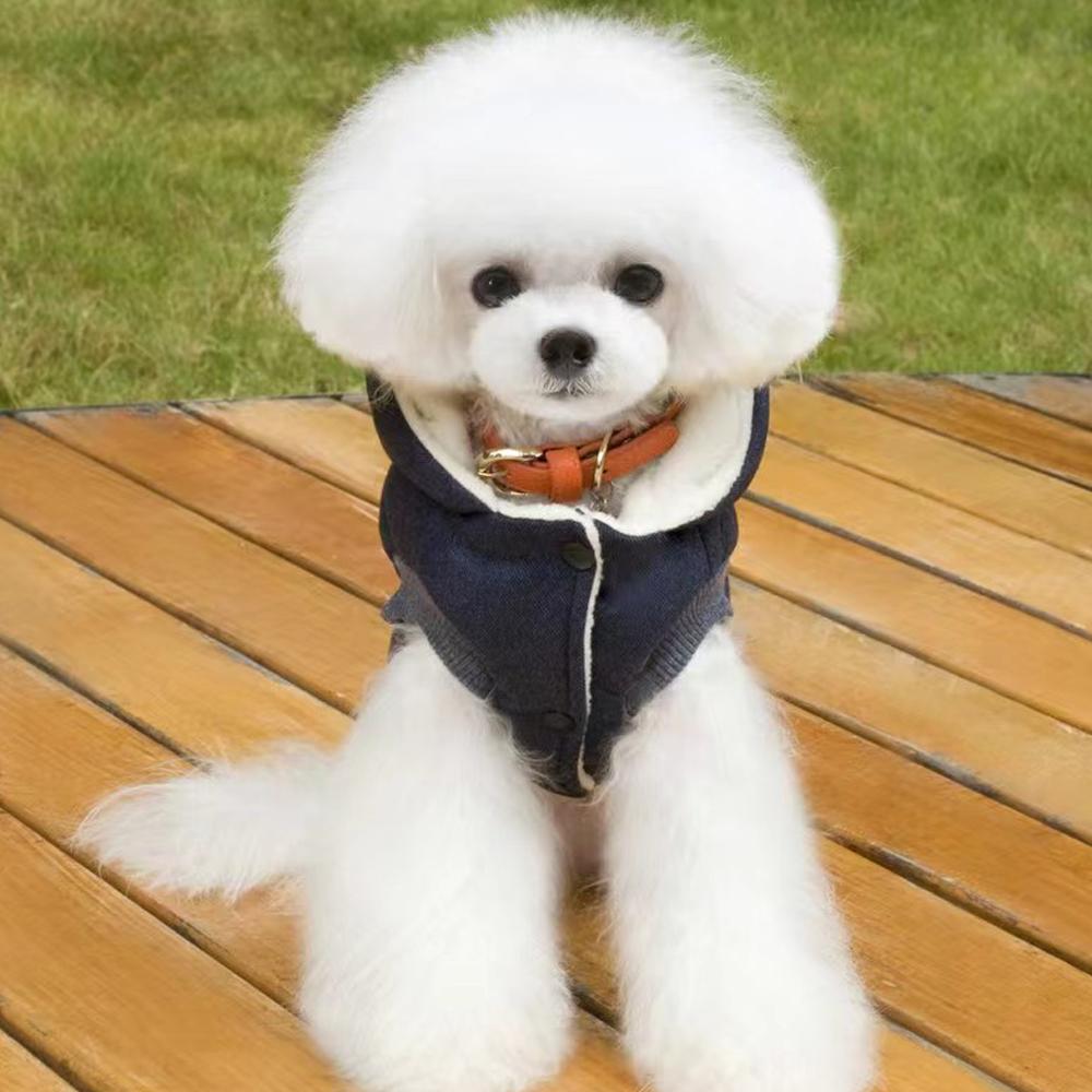 Зимняя одежда для собак, теплый хлопок для маленьких собак, флисовая куртка для щенков, мягкая куртка для собак, толстовка с капюшоном для чихуахуа, наряд для ши-тцу, одежда Yorkies Customes