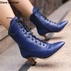 Fashion 2025 New Lace Up Ladies High Heel Shoes Strange Steampunk Boot Victorian Ankle Boots Women Pointed Toe Thick Soled Short Boots