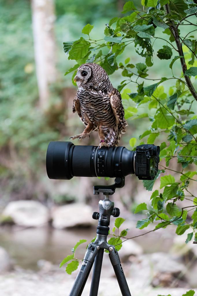 Tamron DiIII VC VXD A057X Fujifilm 150-500mm F5-6.7 (для Х)