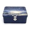 Rectangular Shape Tinplate Box Large Size Empty Box Treasure Chest Storage Box  Gift Giving