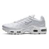Air Max Plus 'White Metallic Silver' Gs CW7044-100