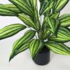 Calathea Artificial Plant Flower In Pot 65