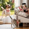 Pet Collar With Silent Bell For Cats And Dogs Adjustable Soft Fabric Love Heart Pattern