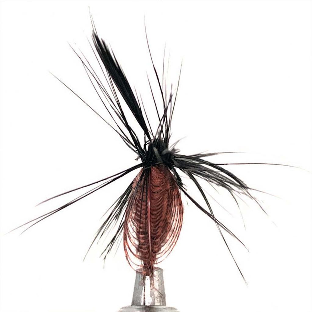 5/10/20/25Pcs/Box Black Fly Peacock Feather Wings Fly Fishing for Trout Bait Size #10 Flies Artificial Insect Bait Lure