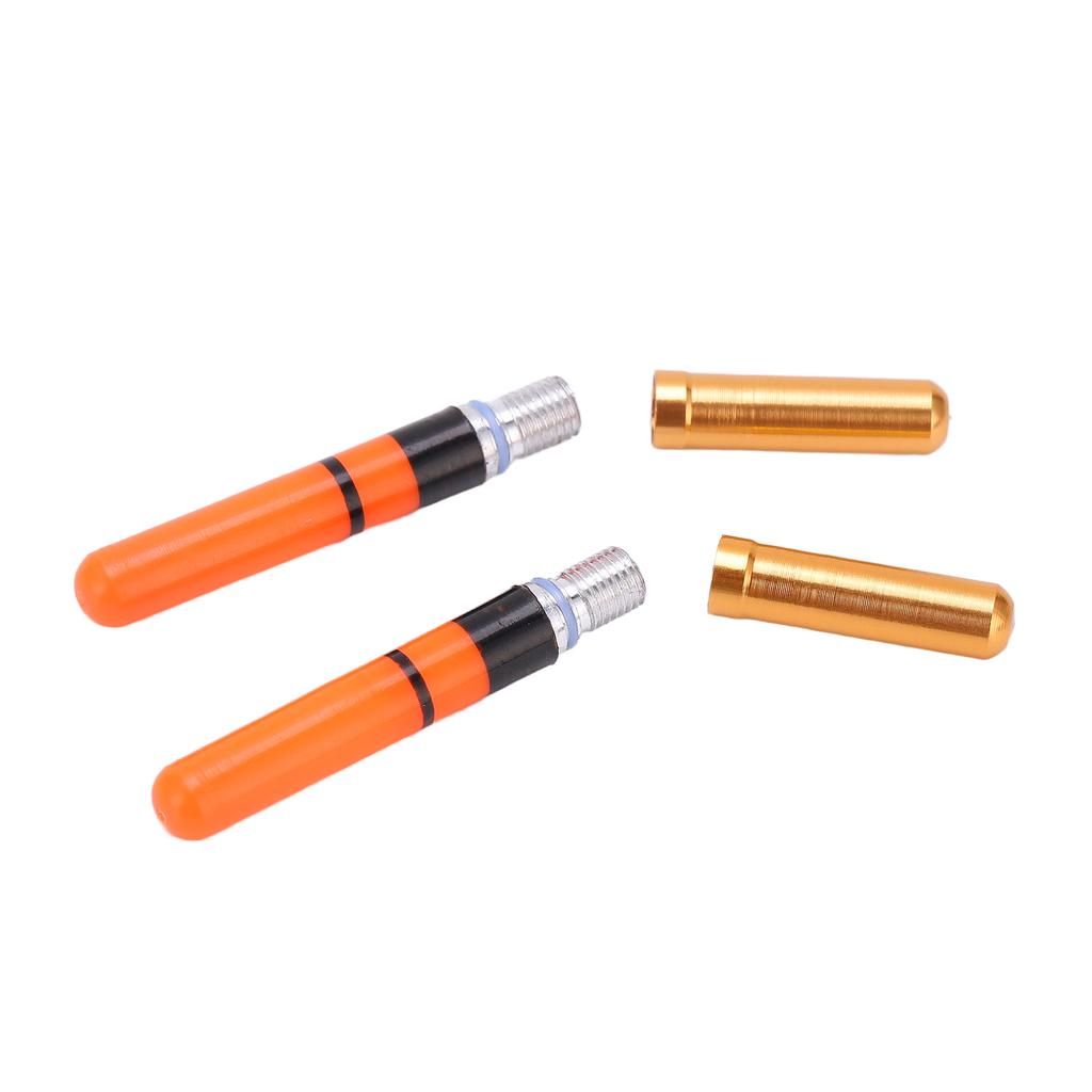 2pcs Sea Fishing Electronic Luminous Head Luminous Fishing Float Glowing Fishing Light