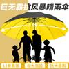 Umbrella Large Double Umbrella Student Oversized Thickened Reinforced Manual Folding Umbrella Rain and Shine Female Parasol