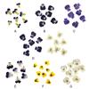 12 предметов Crafts Simple Style Make Accessories Украшение для макияжа Прессованные цветы Craft Jewelry Decor Accessories