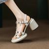 Fashion Personality Rivet Sandals Women's Shoes 2024 Summer Trend High Heels Fashion Platform Thick Heel Comfortable Buckle Beach Shoes