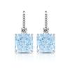 925 Sterling Silver Ice Flower Cut Crystal Zircon Perfume Bottle Ear Hook Birthday Anniversary Wedding Party Gift