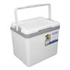 6L Portable Cooler Box Large Capacity Multifunctional Keeps Food Freshness and Drink Cool Insulated