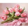 Frame Diy Painting By Numbers Kit Pink Flower Picture Drawing Coloring By Numbers For Adults Handicrafts Home Decors