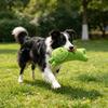 Pet Toy Realistic Animal Shape Bite-Resistant Plush Chew Toy with Catnip Relieves Boredom Simulation Modeling Teeth Cleaning
