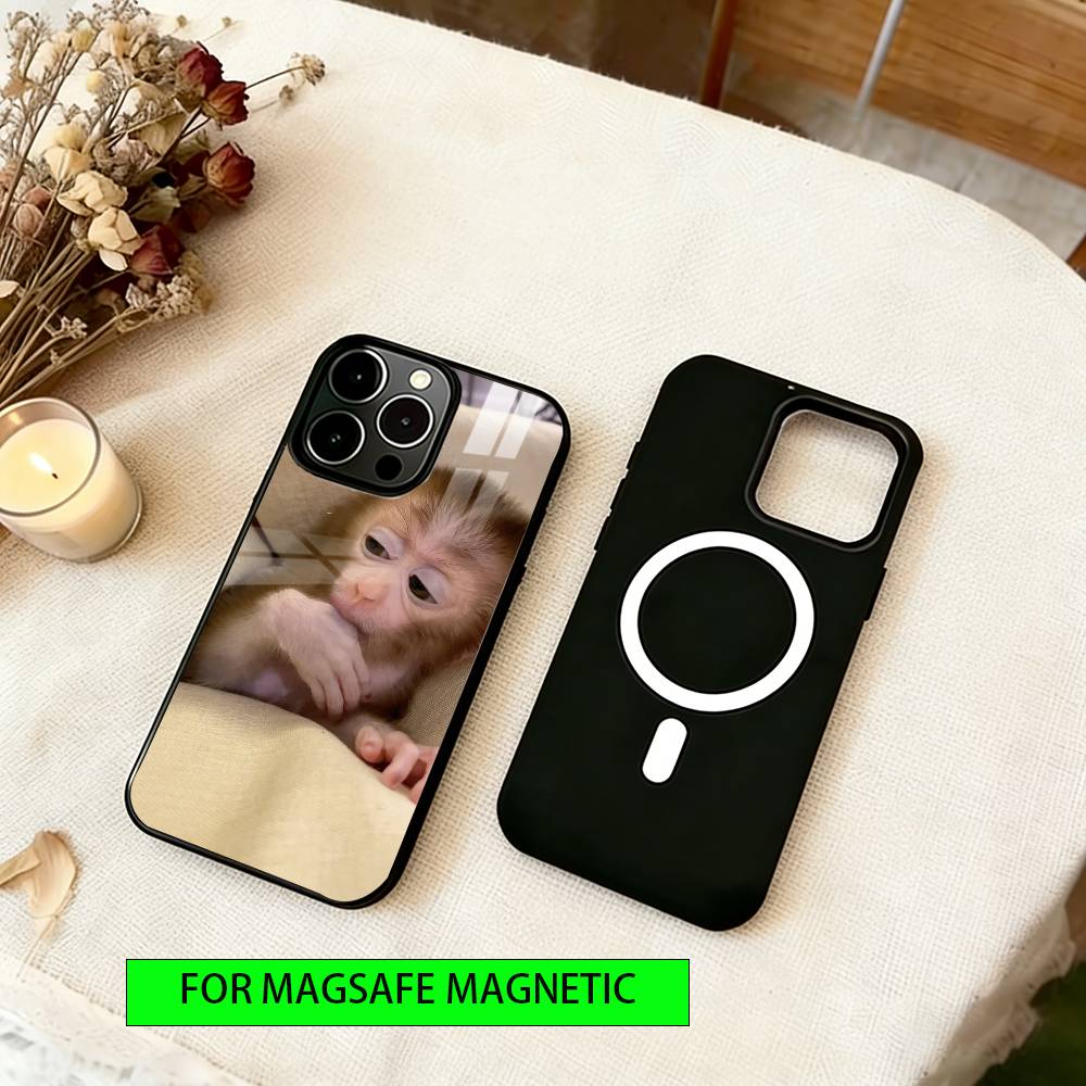 little monkey Phone Case For iPhone17,16,15,14,13,12,11 Plus,Pro Magnetic For Magsafe Wireless Charging