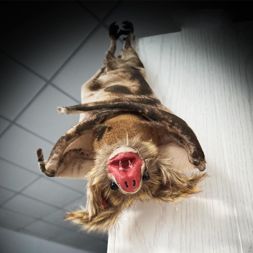 Halloween Hanging 3D Creepy Scary Props Versatile Horror Decoration Flying Spooky for