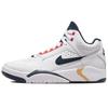 Air Flight Lite Mid 'Olympic' Мужские DJ2518-102