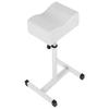 Height Adjustable Cosmetic Chair Home Shop Comfortable Seat Cushion Stool White