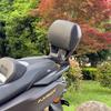 Подходит для 25 моделей Yamaha NMAX155: Улучшенная алюминиевая alloy удобная спинка