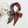 New Scarves Silk Scarves Women'S Spring And Autumn Season Long Decorative Professional Scarves Summer Thin Styles Paired With Shirts Stylish