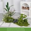 Luxury Faux Green Plant and Flower Decor - Indoor Moss and Grass Clusters for Elegant Landscaping.