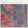 CD HAUSCHKA - Salon Des Amateurs Remixes FATCD88 FatCat Records 2012 США Танцевальная и электронная музыка Б/у