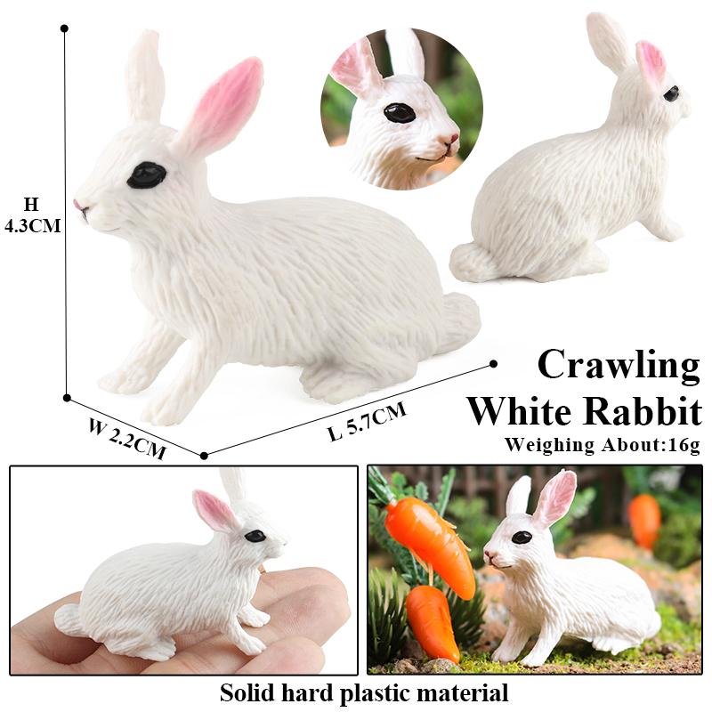 Oenux Lovely Farm Rabbit Bunny Model Action Figure Figurine Wild Desert Cottontail Hare Cute PVC Decoration Education Kid Toy