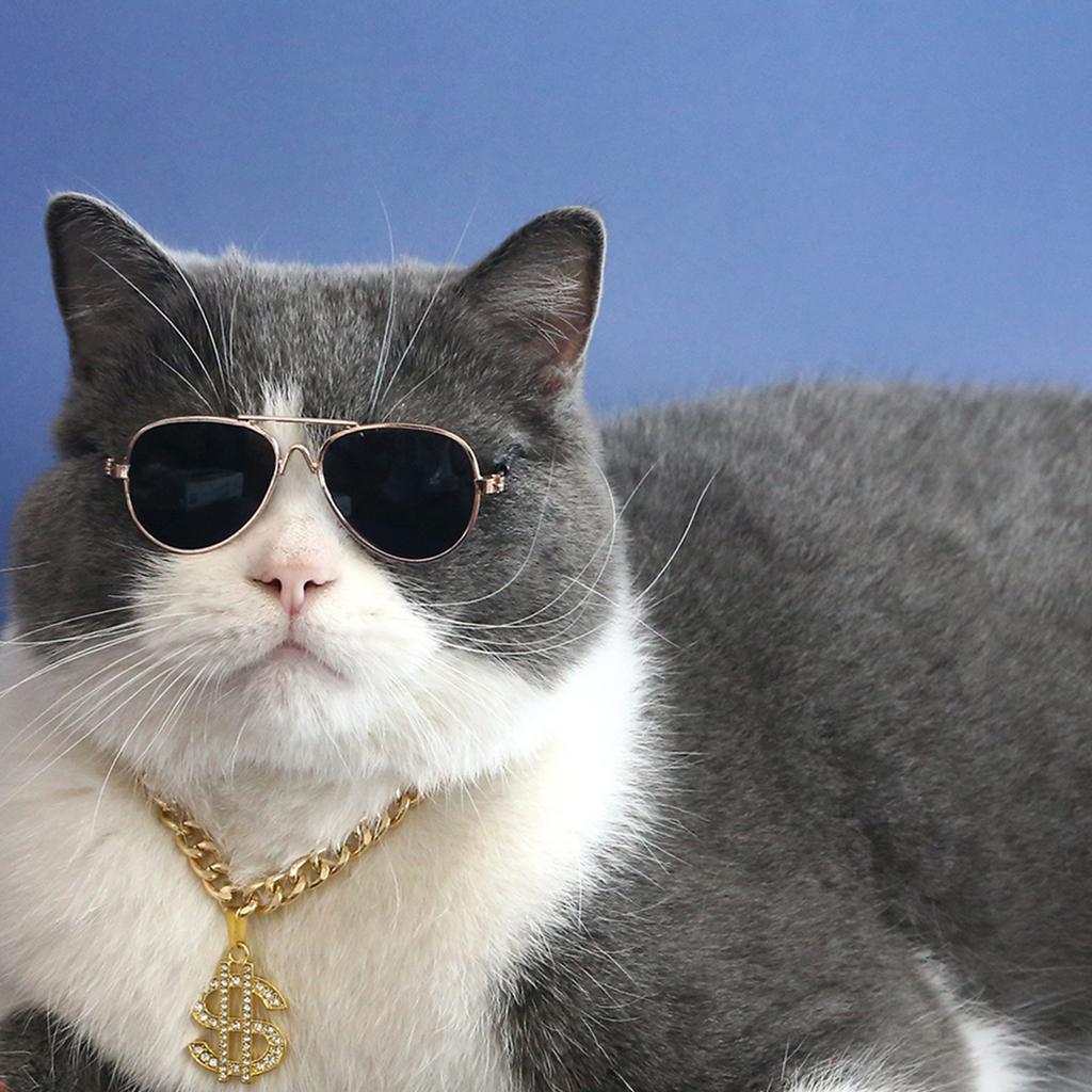 Adjustable Cat Jewelry Small Dogs Cat Collar Necklace with Rhinestones Dollar Pendant Wedding Party Cat Girl Collar 2PCS