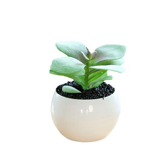 Отличный искусственный суккулент, не требующий полива, яркий декоративный