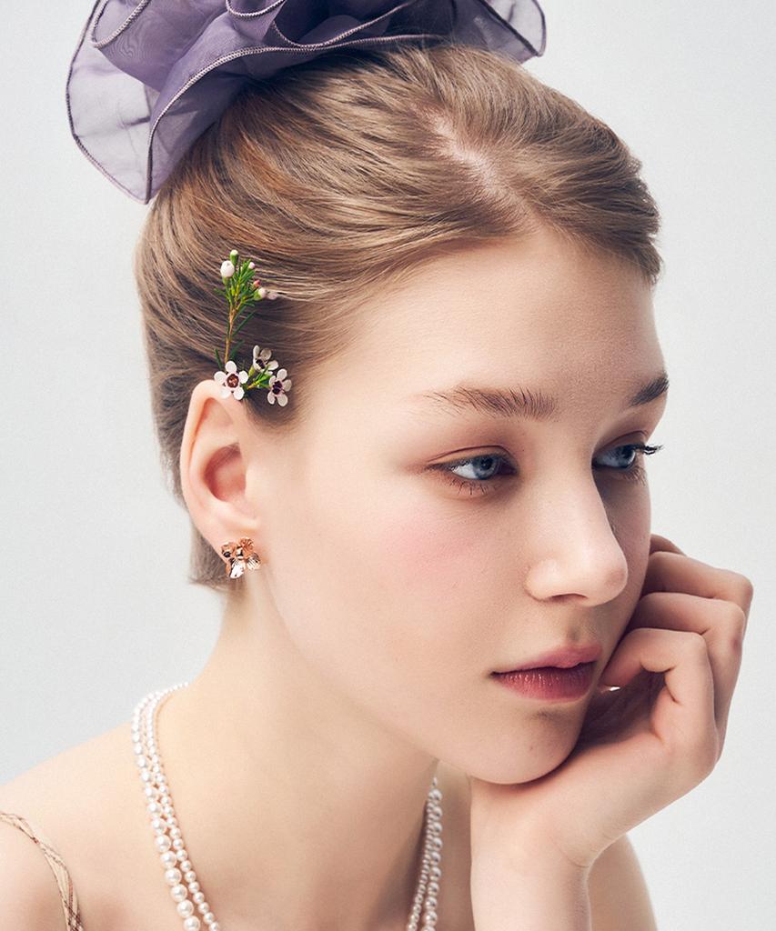 Гвоздики Dana Burton Nora Bloom