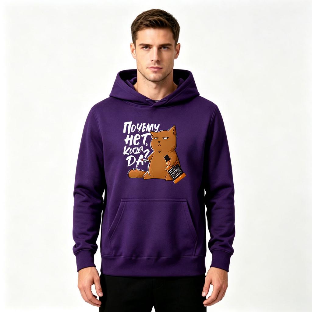Men's Casual Pullover Hoodie, Funny Grumpy Orange Cat Print Long Sleeve Hooded Sweatshirt For Daily Wear