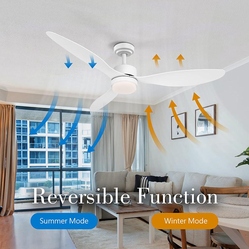 Ceiling Fans with Lights and Remote 52 Inch Quiet Reversible DC Motor Ceiling Fan for Bedroom Living Room Easy To Install