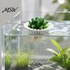 Floating Garden for Aquarium 3D Printed Plant Holder, Water Hydroponic Planter Basket, Aquatic Rooting Box Pot, Fish Tank Aquascape Decoration Plants
