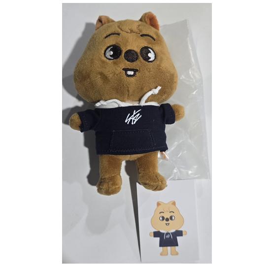 Stray Kids SKZOO Плюшевый МИНИ Версия (Школа Магии) со случайным POB