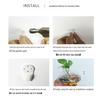 Creative Wall-Mounted Transparent Glass Vase for Plants and Fish