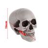1PC High Quality Home Decor Party Decoration Hanging Decor Skull Head Human Skeleton Halloween Props