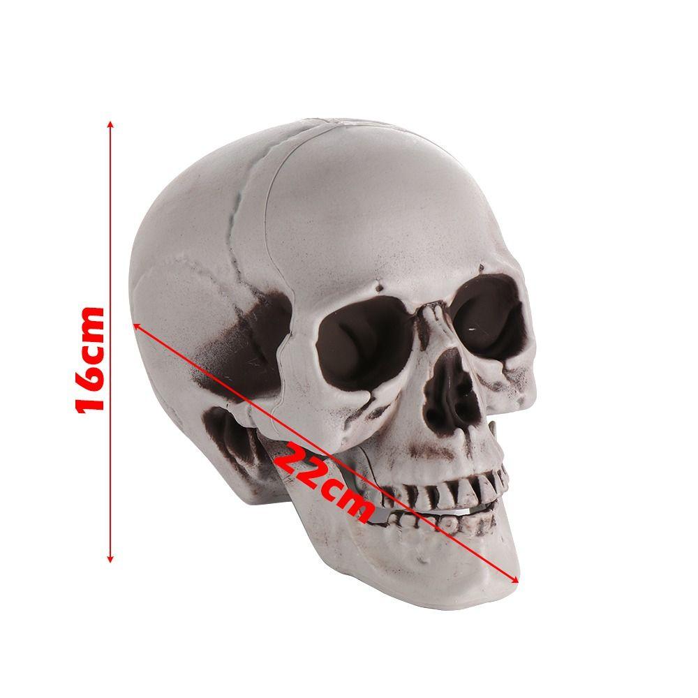 1PC High Quality Home Decor Party Decoration Hanging Decor Skull Head Human Skeleton Halloween Props