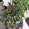 Spring Artificial Rose Vine Handmade Rose Wall Hanging Simulation Rose Vine  Wedding Party