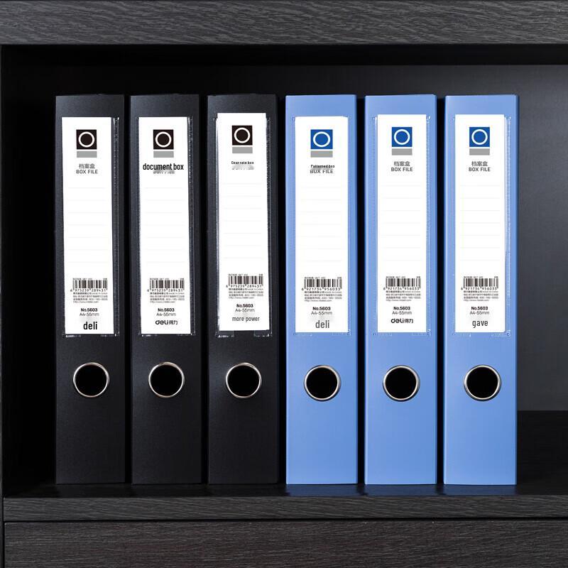 Deli A4 Thickened 55mm File Box