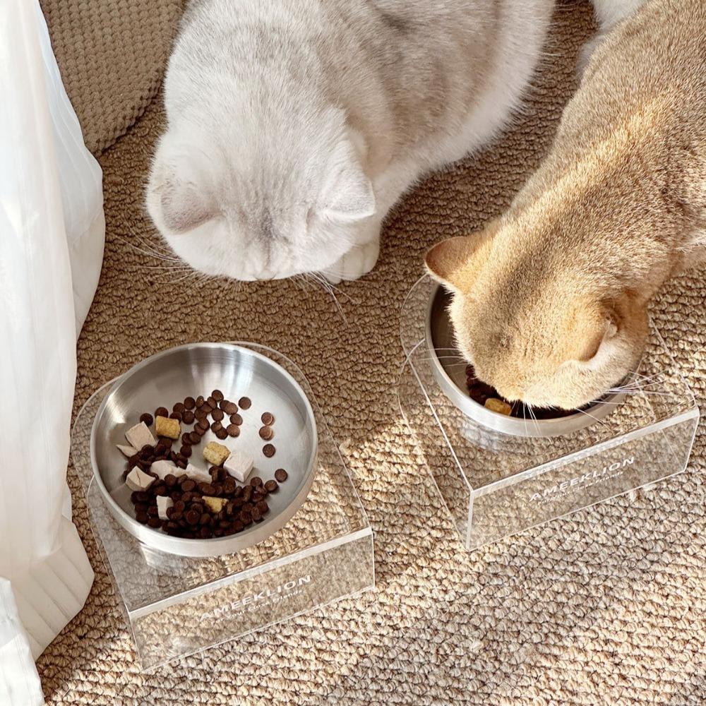 Cervical Protection Elevated Pet Bowl Acrylic Frame Stainless Steel Cat Bowl Dog Bowl Pet Feeding
