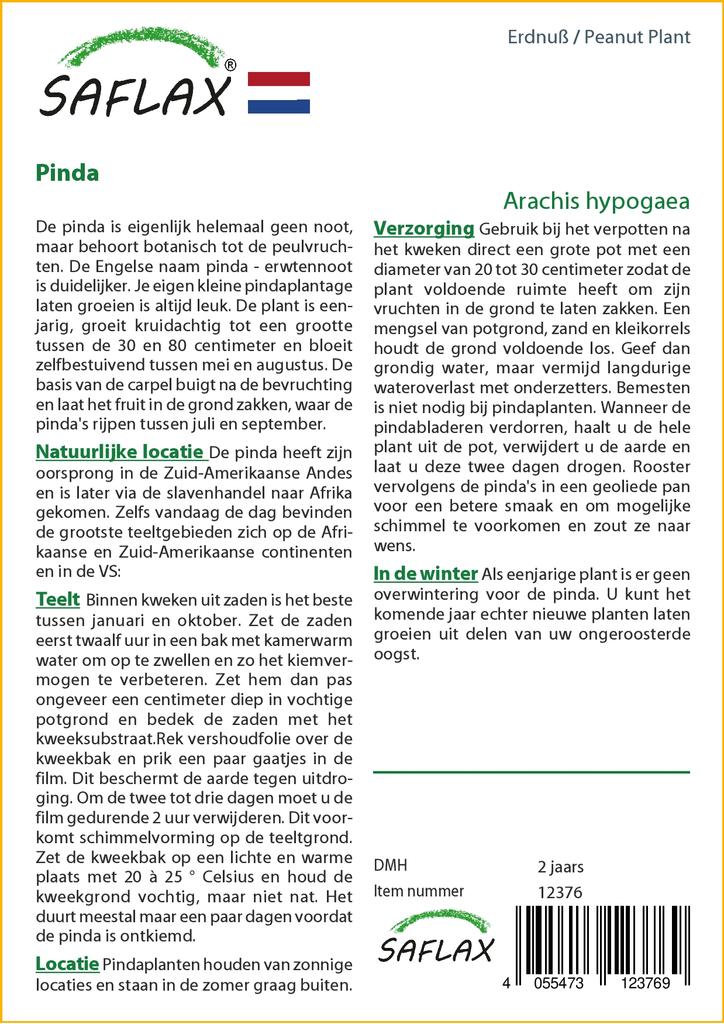 SAFLAX Арахисовое растение - 8 семян - Arachis hypogaea