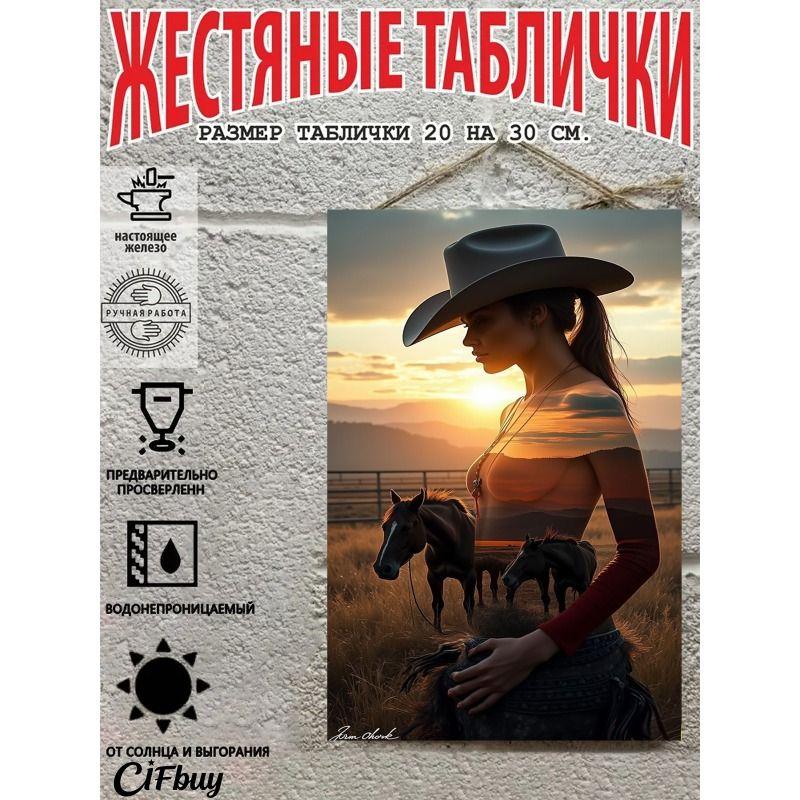 Металлическая жестяная табличка "Ковбой на лошади" 20x30 см Рустикальный декор стен