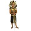 Pharaoh Cosplay Egyptian King Tutankhamun Adult Costume for Halloween Set of 2 Black and Orange Balloons [SCGEHA] Events,