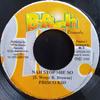 7inch Record FRISCO KID / ELEPHANT MAN - Nah Stop She So / Miss Matty Son NONE B-Rich Records 2000 Jamaica Reggae, Ska & Dub Used